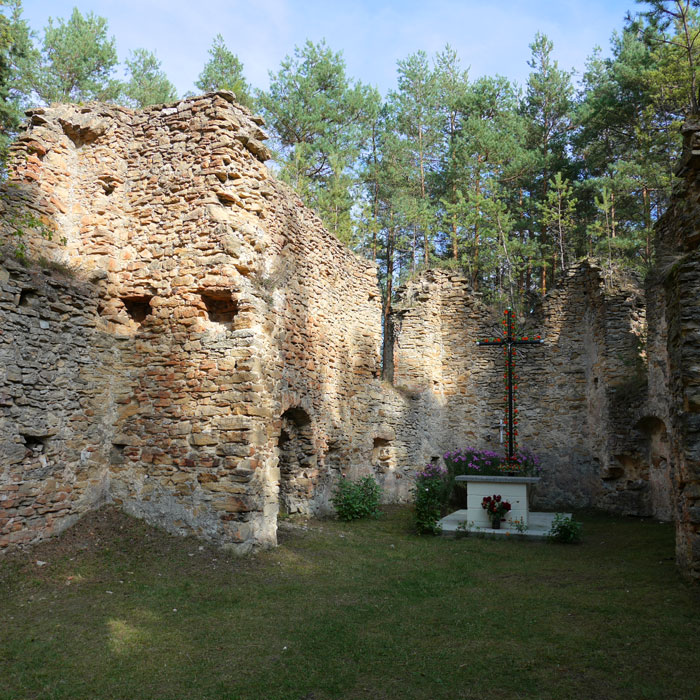 Ruiny kościoła św. Michała w Gruszczynie